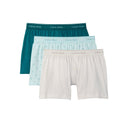 Calvin Klein Boxershorts 3 - Pack Heren - 100% Katoen - Underwear - Calvin Klein - underly